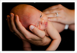 dgmphotography American Child Photographers Charity Guild Sesison Page Image 3